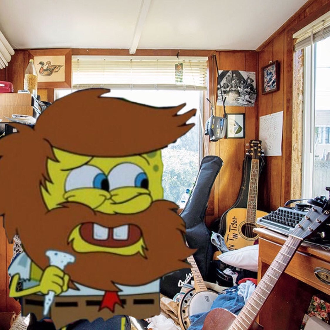 SpongebobAlbums's tweet photo. Field Medic - ‘Songs from the Sunroom’ (2017) https://t.co/TUmYYyPC6t