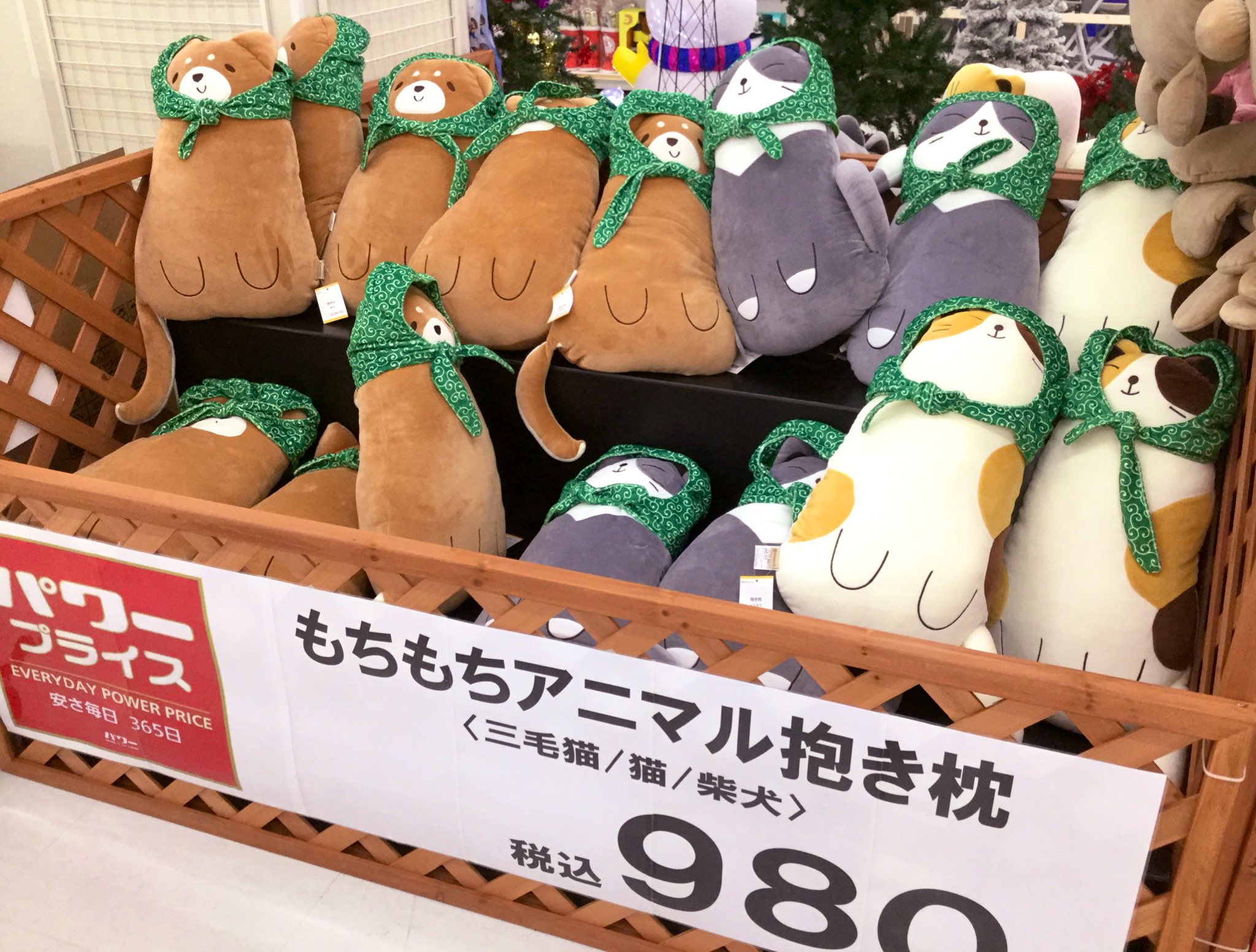 雑貨奥様 ホームセンターって季節商品が入口に並んでいるはず でも昨日行ったお店に居たのは もちもち たち コメリ