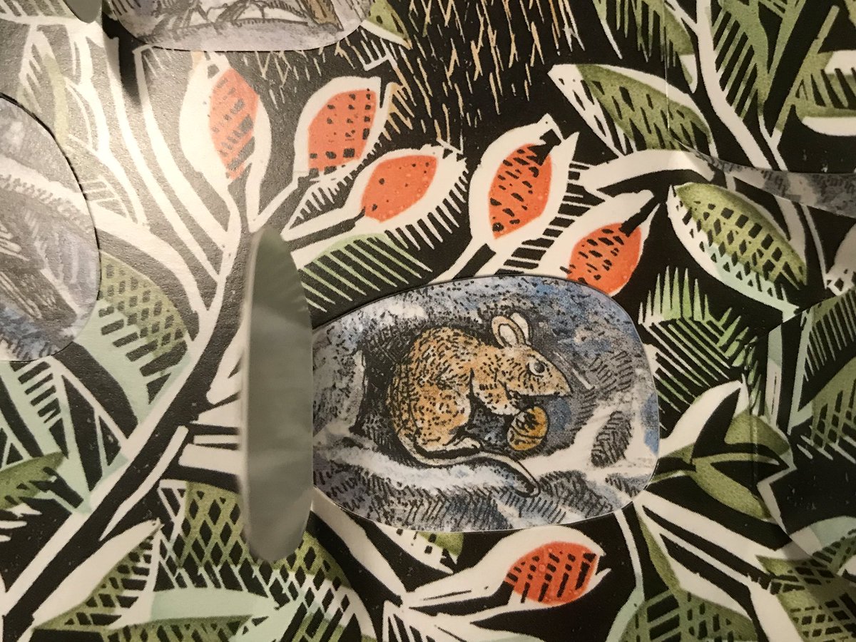 lucyempson's tweet photo. Celebrating the #WinterSolstice and my @ANGELACHARDING advent calendar which appears to have a rat in the window! #AdventCalendar #wildlife #notcuddly https://t.co/dtvArgw8si