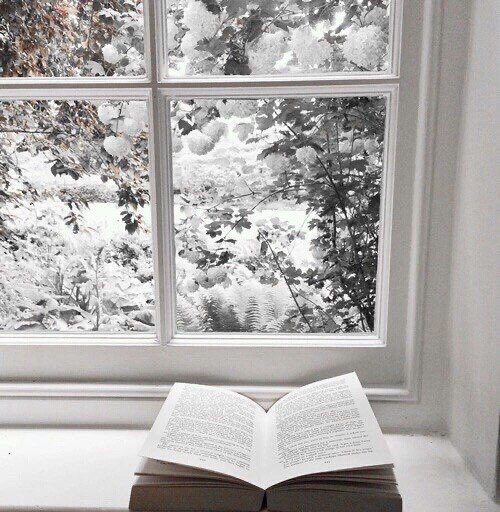 ReadMoreZone3's tweet image. What's your morning reading view?!
📷: Tumblr (chilly-and-spooky)