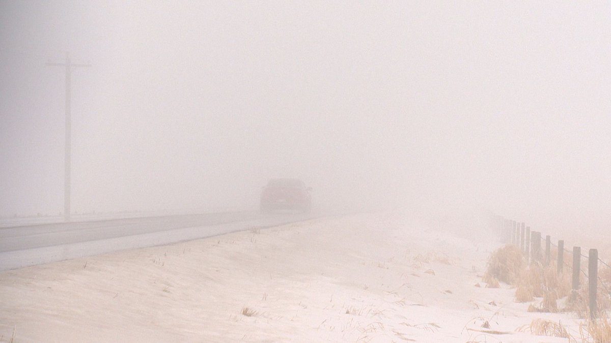 KaylenSmall's tweet photo. Environment Canada advised drivers to be prepared for near-zero visibility, saying to turn on your lights and maintain a safe following distance. #yycwx #yycfog

All📸: Devon Simmons/Global News https://t.co/cGs4WUlNuw