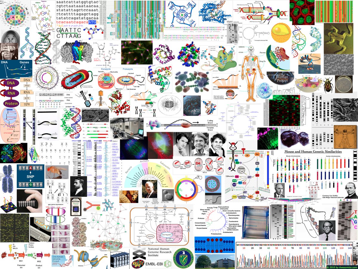 Awesomics tweet media