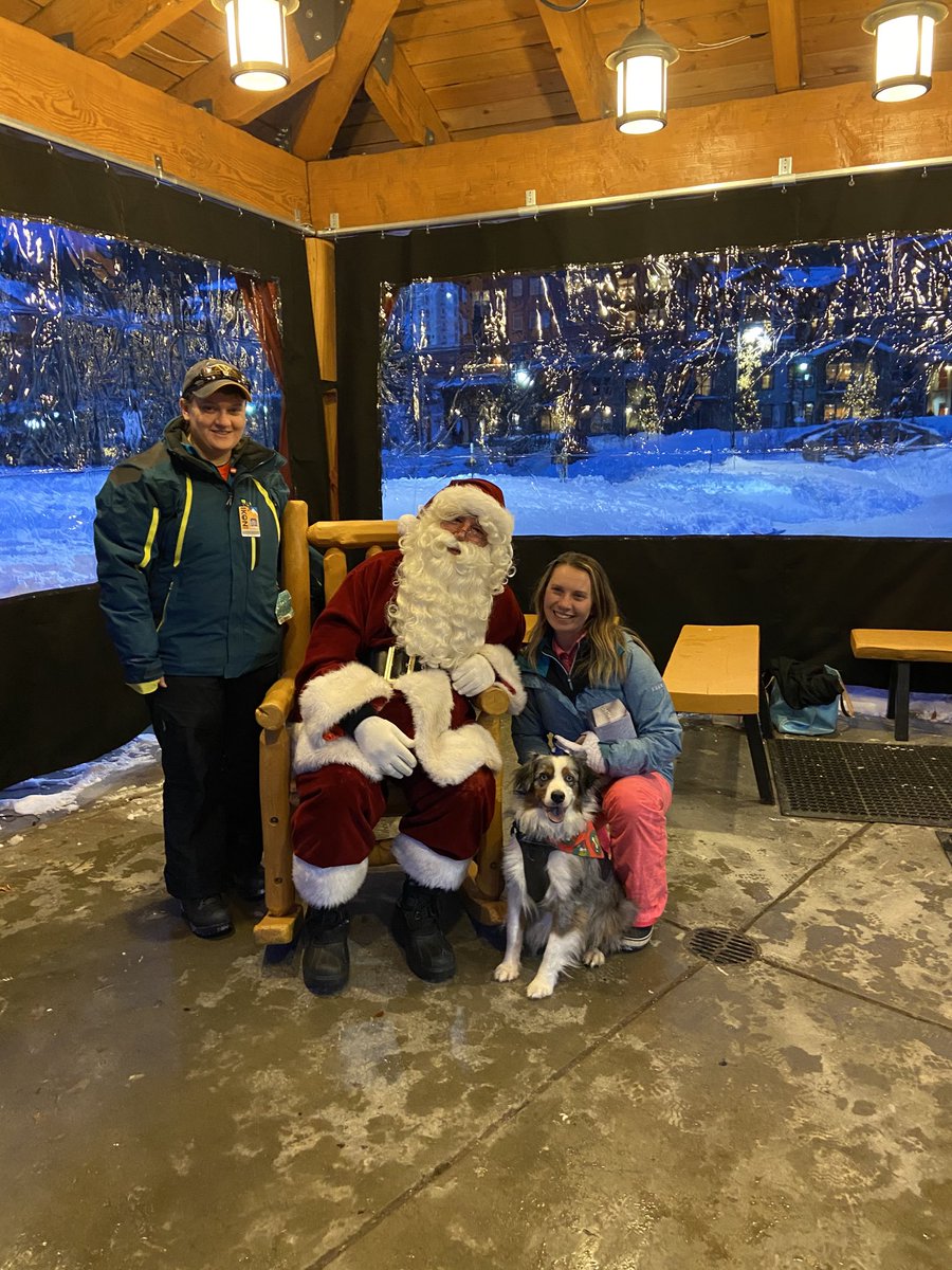 dog_cisco's tweet photo. Cisco with his older sisters at ⁦@WinterPark⁩ ⁦@aussiesdointhgs⁩ https://t.co/uYj1U8b1az