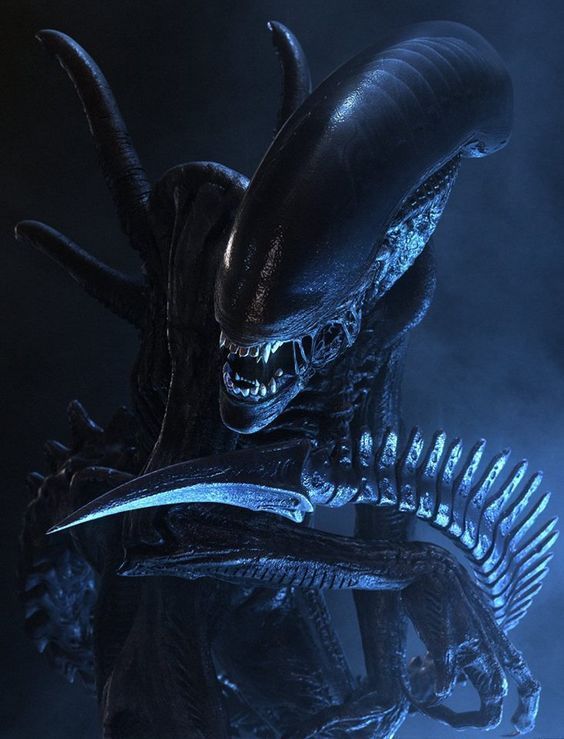 "Aquí estamos... Una nueva galaxia, nuevos planetas para mi prole latente. Somos la plaga devoradora de mil mundos y yo soy su heraldo."

•Sith
•Xenomorph
•Piloto
•#StarWars #SW
•#RP #SWRP

[Art: Cgfelker - H. R. Giger]