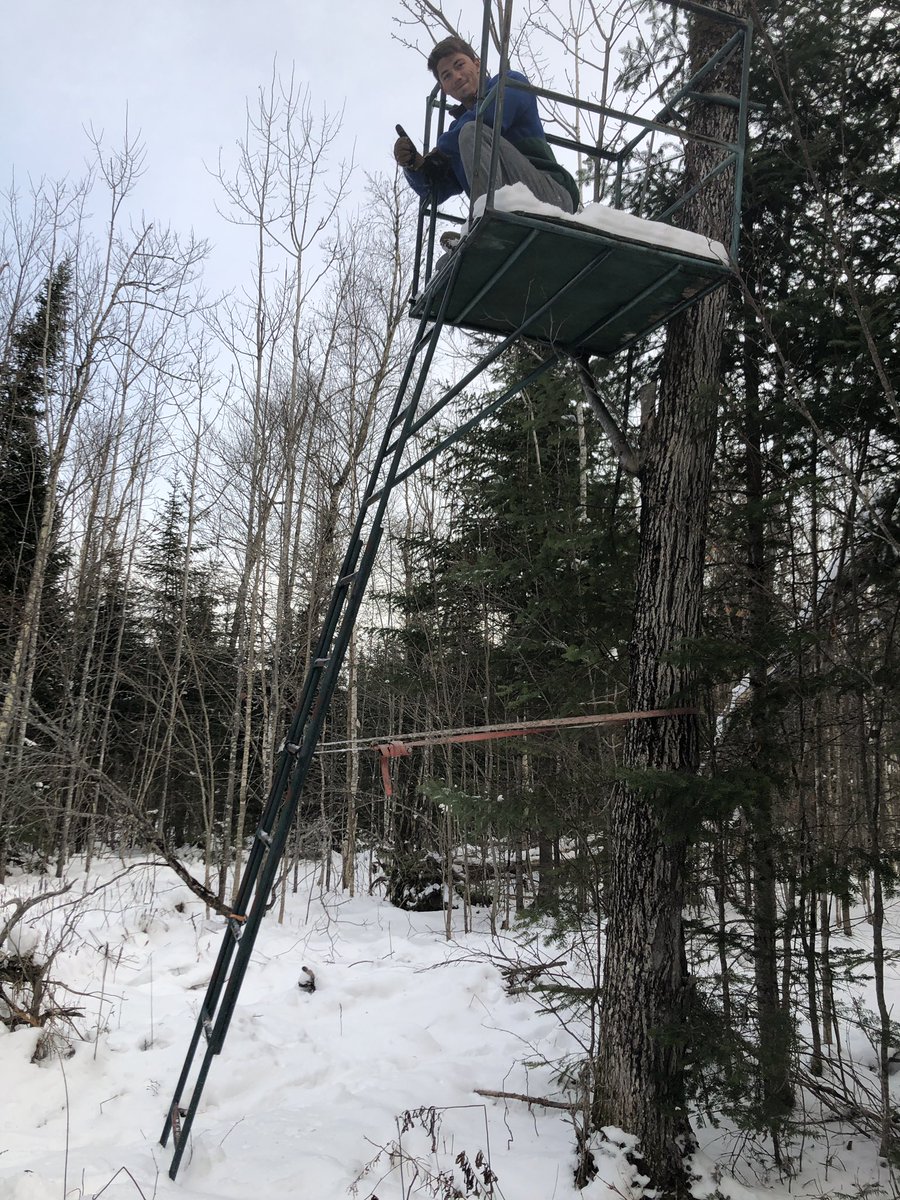 Spent the day exploring my land. Found this deer stand. This is exciting
