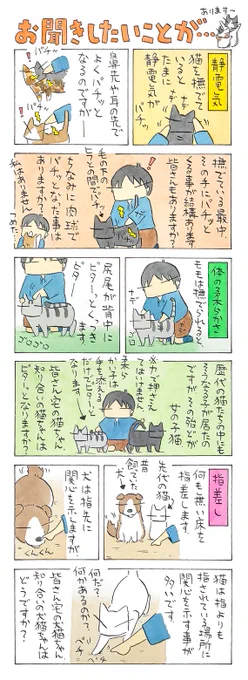 「年内最後に気になることを」
みんなと同じだったり違ったり。
昔から気になっていた細々としたことを。
(久保智昭さんの「猫色スケッチブック」)他一枚更新しています。⇒( 