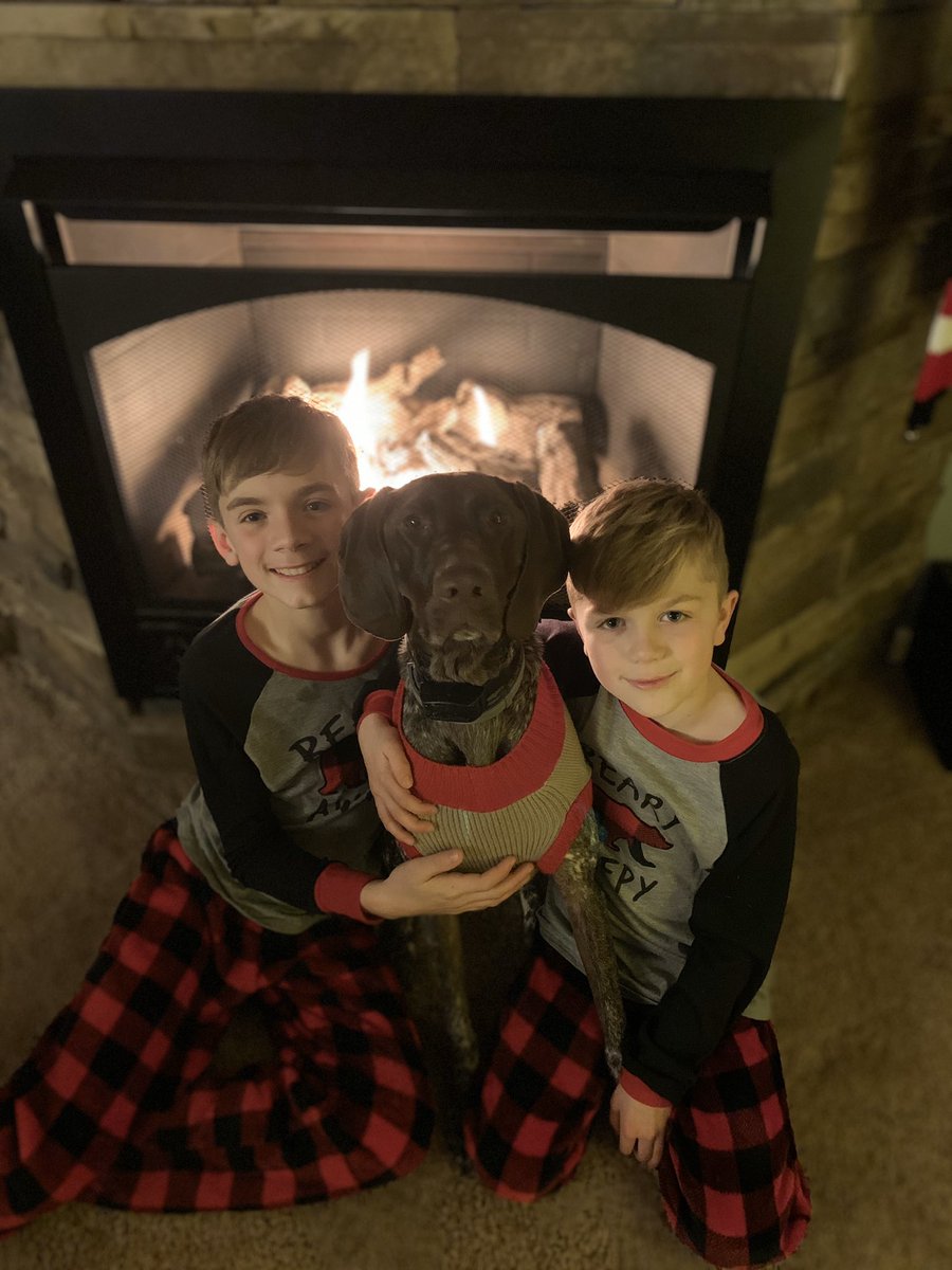 MandySisson's tweet photo. My kiddos are pretty darn cute! Even the little fur-baby too in her holiday sweater #Christmas2019 #gsp #pointerdogs #HomeSweetHome https://t.co/ySS991Jf5C