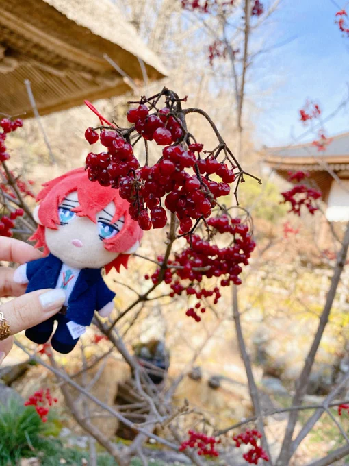 かりきさんに温泉とか寺とか案内してもらったたのしかった命たちかわいいーーーーーーーーーーーーーーーーーーーー!!!!!!!!!!!!!!!!!!!!!!!!!!!!!!!!!!!!!!!!!!!!!!!!!!!!!!!!!!!!!!!!