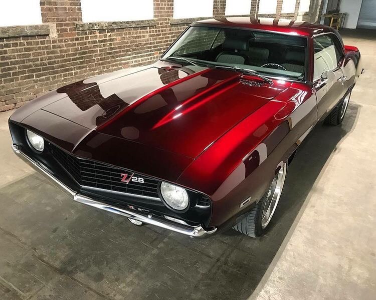 AmericanMuscIe's tweet photo. https://t.co/33TrHelzac