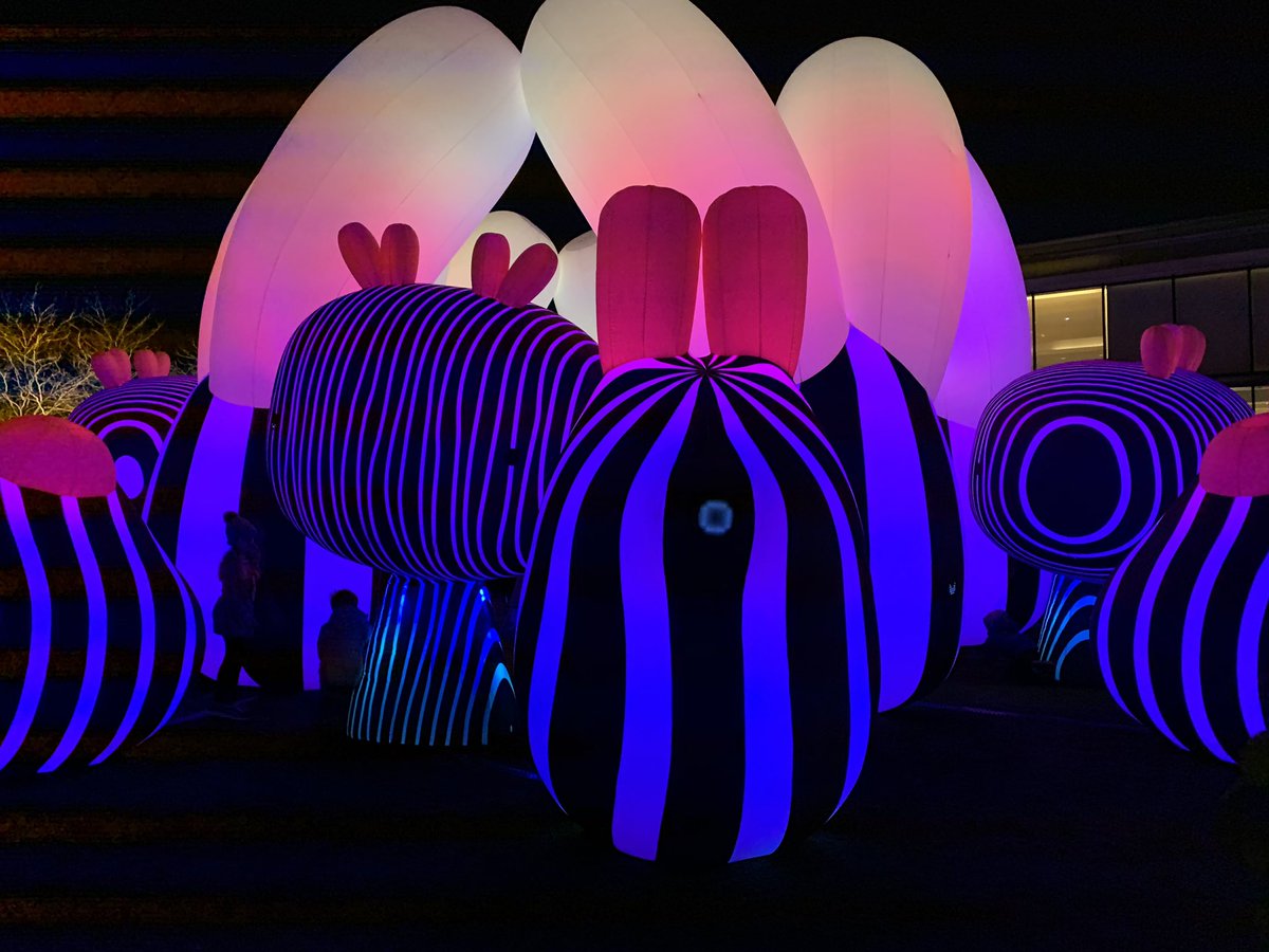 jhodgso1's tweet photo. In awe of the weirdness that is the #lightyards. So cool. So fun. So strange. https://t.co/Tmg1mLDKUv