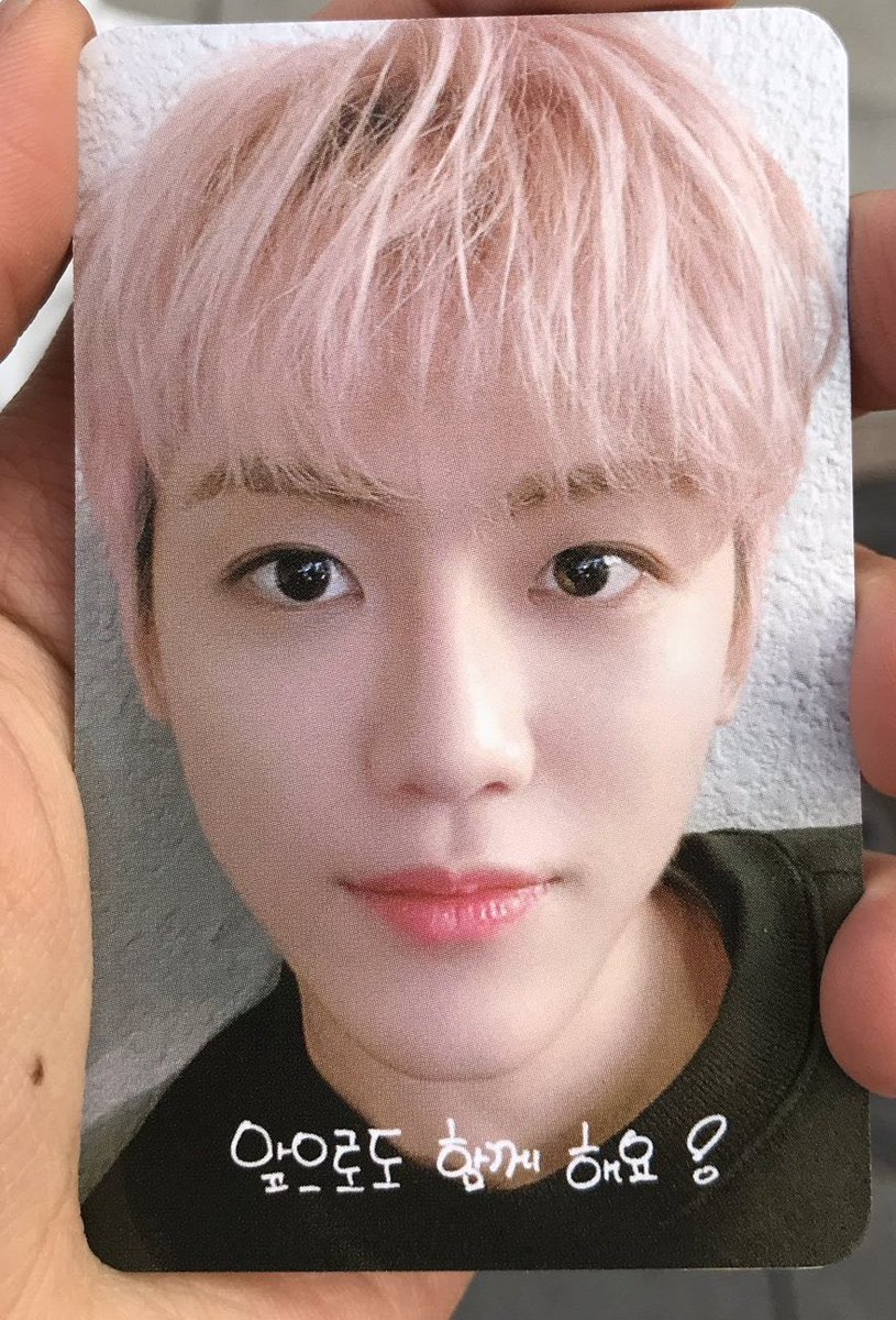 nct dream ウィンターペンミ ジェミン トレカ TRANS] 191222 NCT Dream 'Winter Dream' Fan Meeting 2019 Photocard