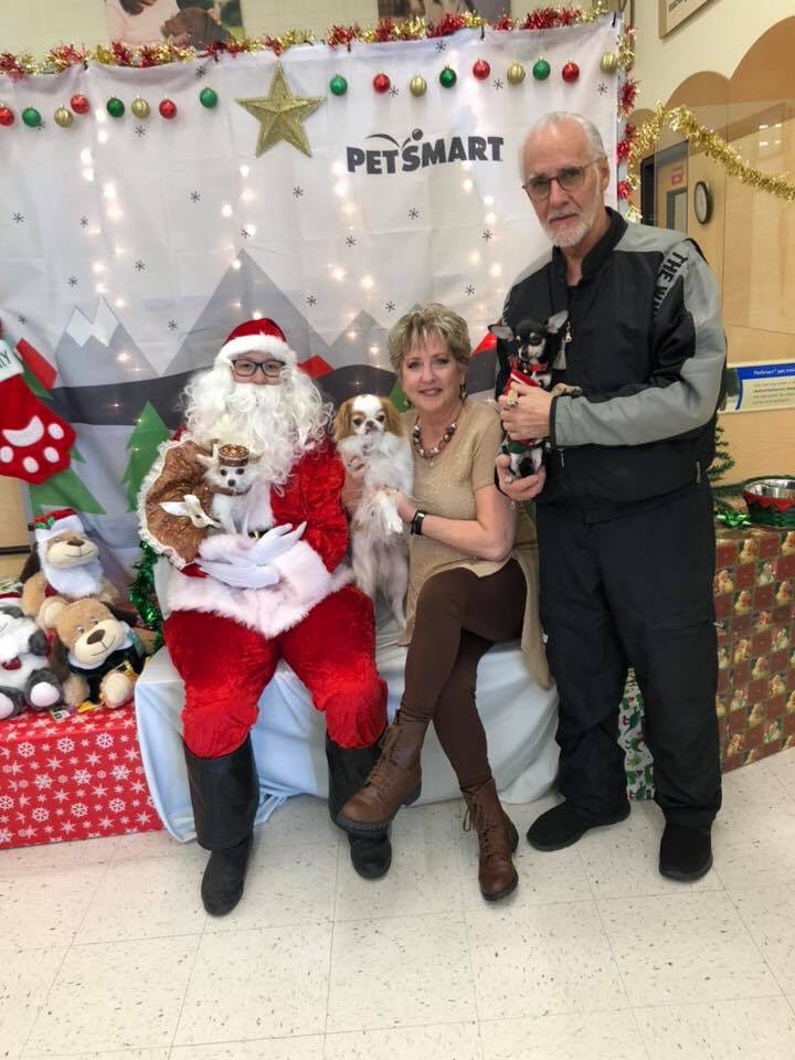 PrincessAvaBiso's tweet photo. Oh yeah, ya gotta do it! family pictures (+ Buoy Lee) with Santa! This was Buoyβs 1st time meeting Santa & his 1st Christmas π
#PrincessAvaBisou #puppymillsurvivor #PrisonertoPrincess #Buoys1stchristmas #dogsofinstagram #dogsoftwitter #picswithsanta #PetSmart #petsmart https://t.co/5eoMESaLh5