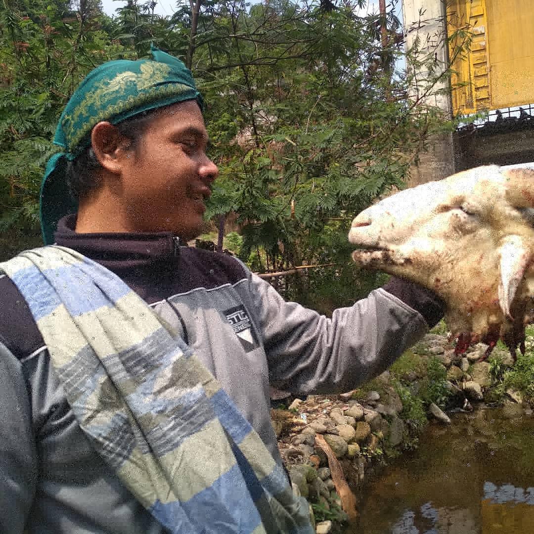 Mancing dapat kepala ikan yang lumayan gede.

#JanganLupaBahagia
#HTISumberRadikalisme
#ReshuffleJilidSatu