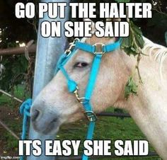 TheSaddleBank's tweet photo. Who has a non horsey relative, boyfriend/girlfriend, or friend who can relate? 😂 https://t.co/mEUeRQU9jj