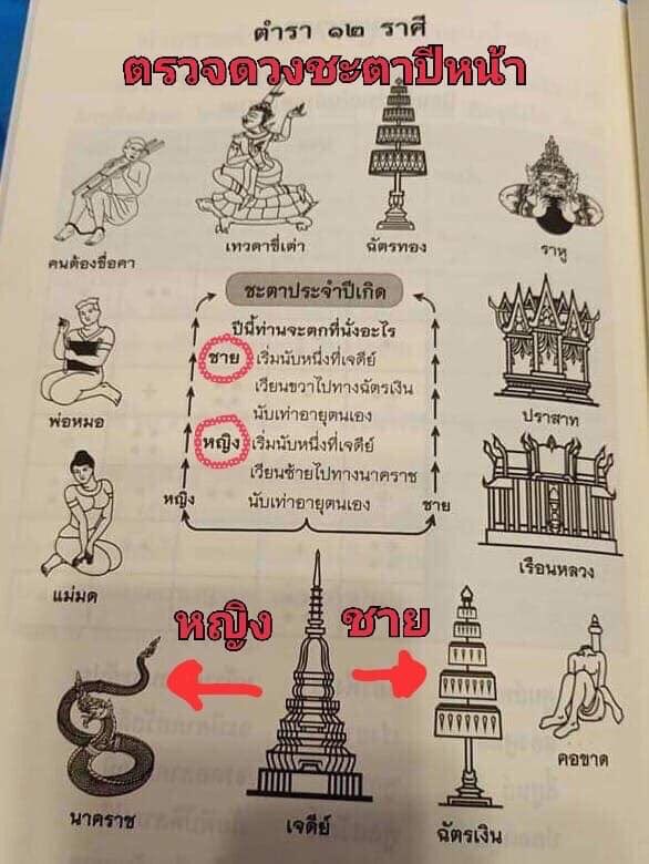 ชื่อ “Knows” tweet media