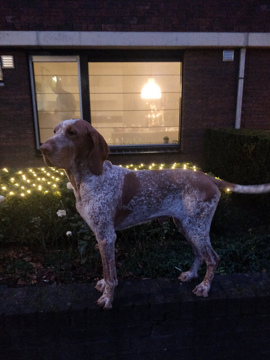 Basil Lange tweet media