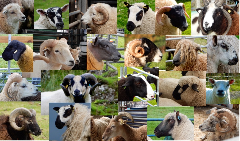Ullswater Felt Art on Twitter: Ullswater Felt Art on Twitter: