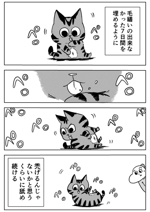 ブログ更新したよ!

「ハゲないでね」
https://t.co/vpdhvCXPGI 