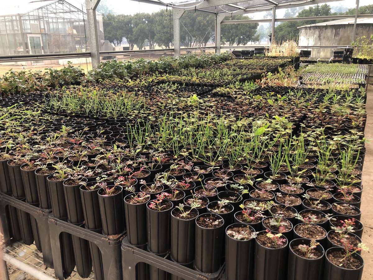 Katie Rolls tweet media