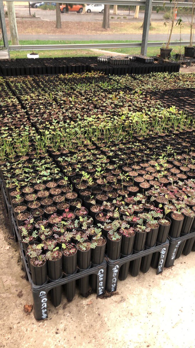 Katie Rolls tweet media