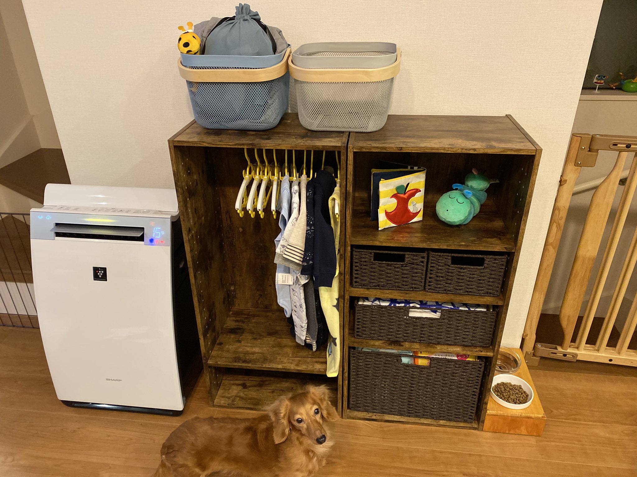 まいままい ニトリのカラーボックスでベビークローゼット ニトリで見つけた ニトリ19 T Co L4obxa7fve Twitter