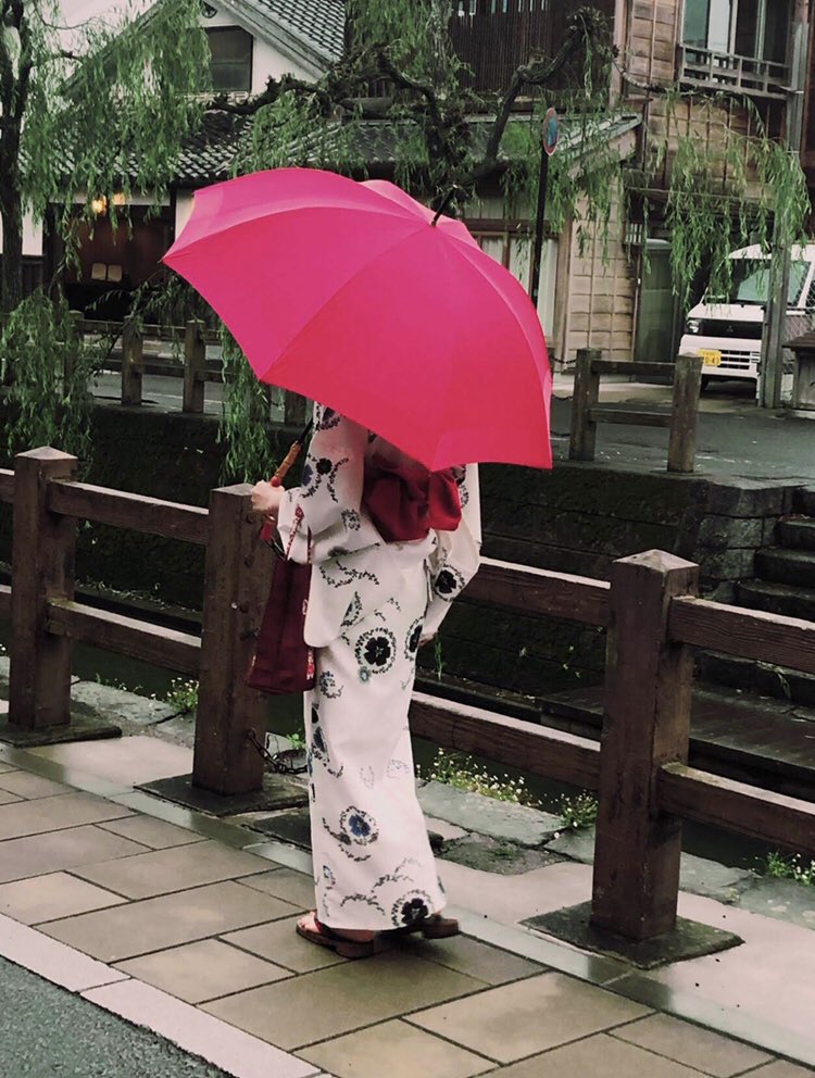 傘デザイナーのねこ オーロラ 株 公式 Aurora Umbrella Twitter