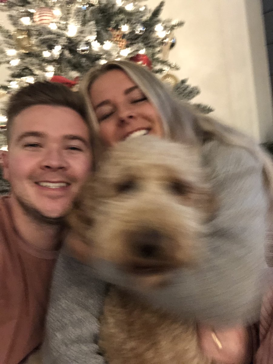 Grubsen's tweet photo. ACTUAL behind the scenes for dog owners trying to get a family pic https://t.co/njy8quaFx8