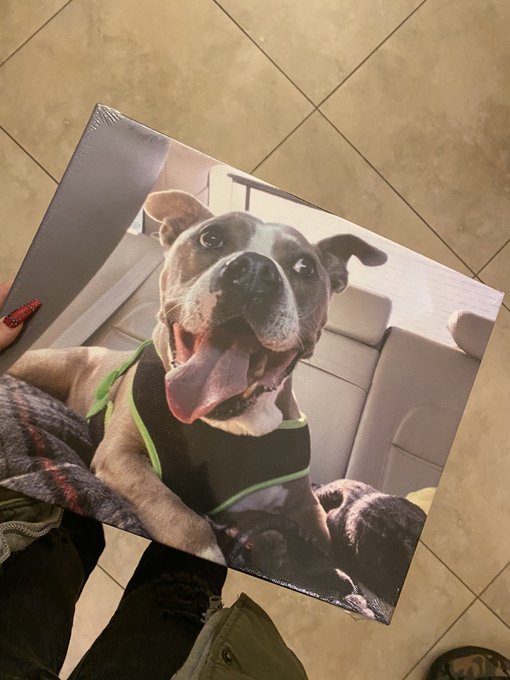 A gift from our best friends 😭🤎 I die. https://t.co/zKKfpKv5JK