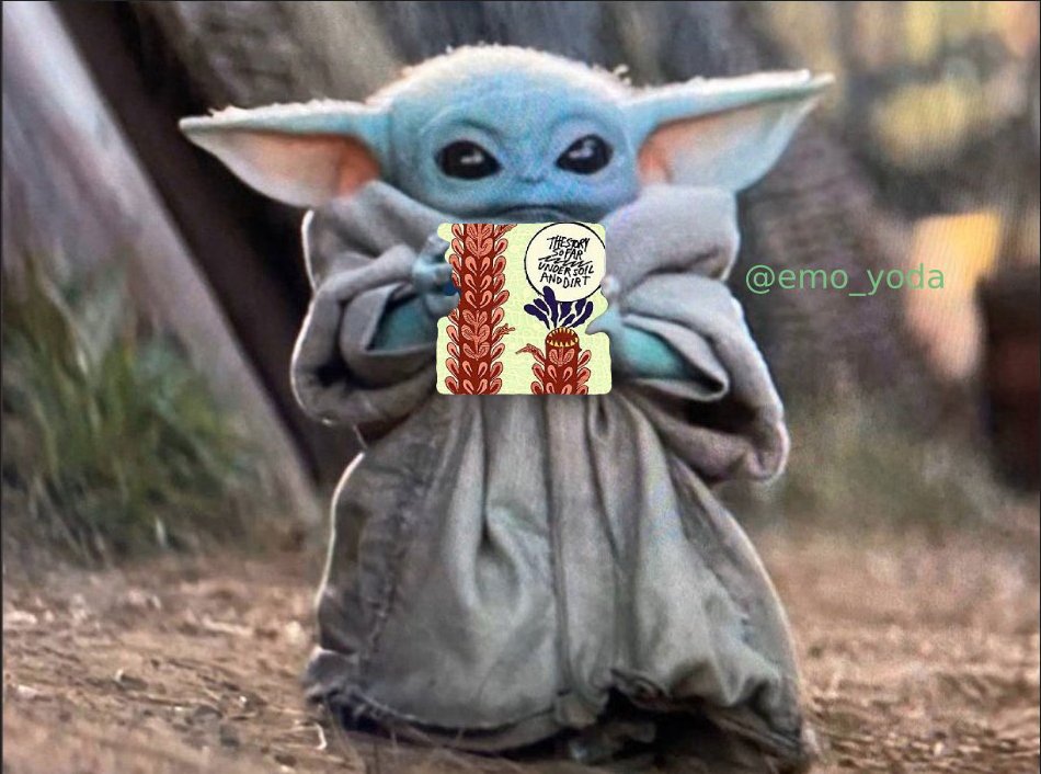 emo_yoda's tweet photo. baby yoda holding under dirt and soil https://t.co/Y685E49j25