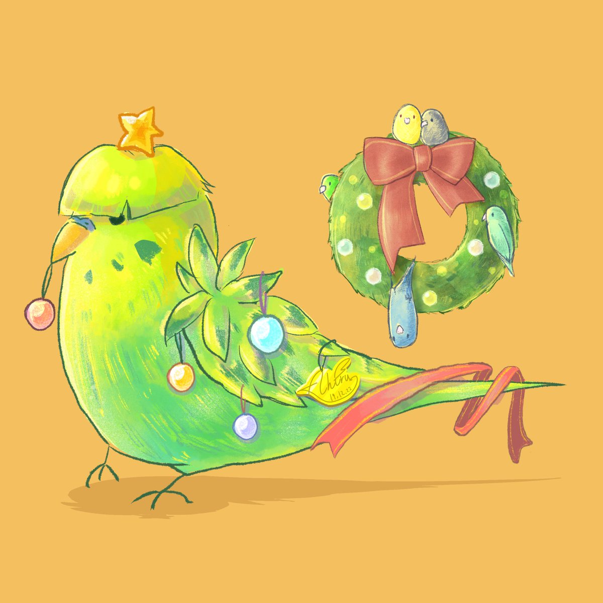 あひる クリスマスツリーも用意しよう 梵天羽衣セキセイインコ セキセイインコ イラスト