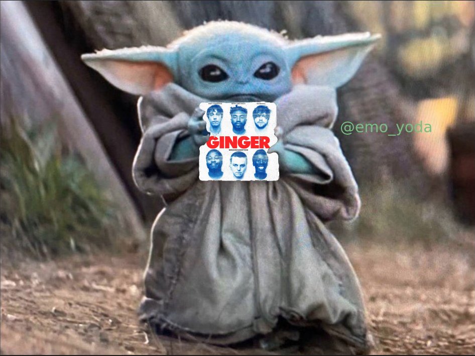 emo_yoda's tweet photo. baby yoda holding ginger https://t.co/gv2yzhkide