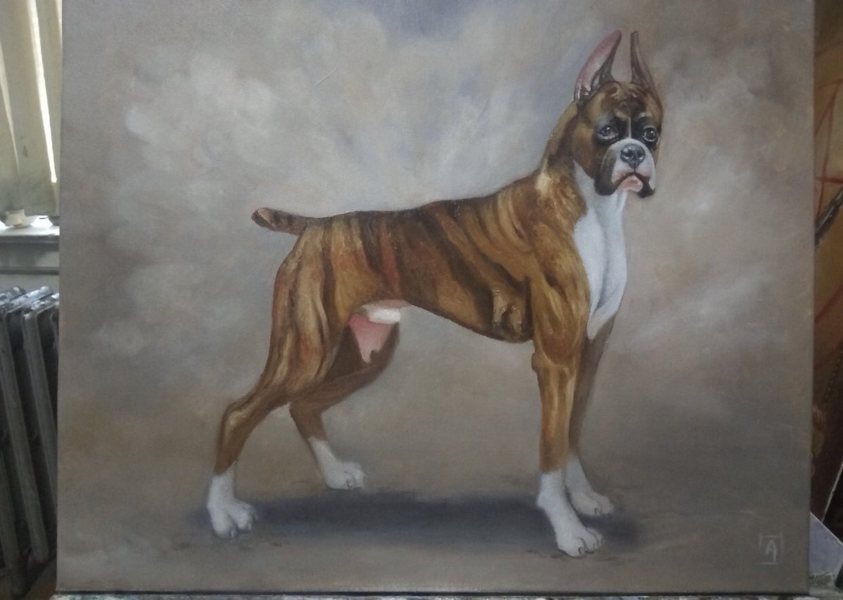 lamorter's tweet photo. @DanaPerino @WSJ How about my 3 year old champion Boxer, that just passed away from a tick bite. Oil painting by artist, Alex. https://t.co/97xq7trSRI