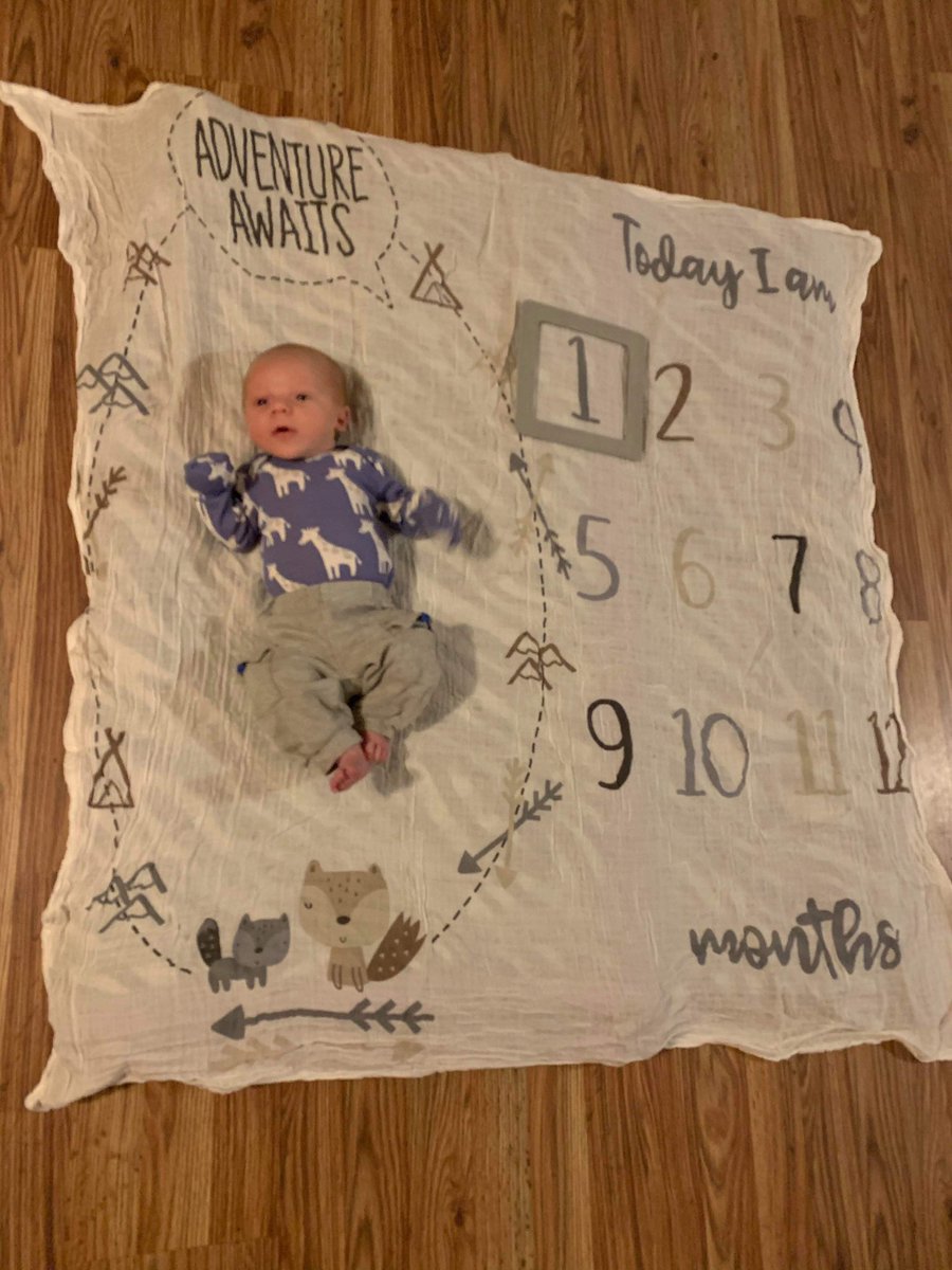 kiralane14's tweet photo. Look at him 🥰 https://t.co/sp5kpl44AI