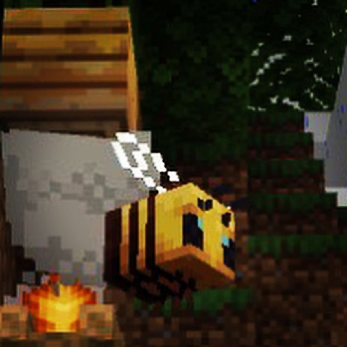 Cairol's tweet photo. A little #minecraft #education and we get to hang out with the #bees!#minecraftworld #letsbuildtogether #bee #buildyourownworld #liveyourbestlife #liveinthemoment #makethemostofit https://t.co/XgsSbRiKgr