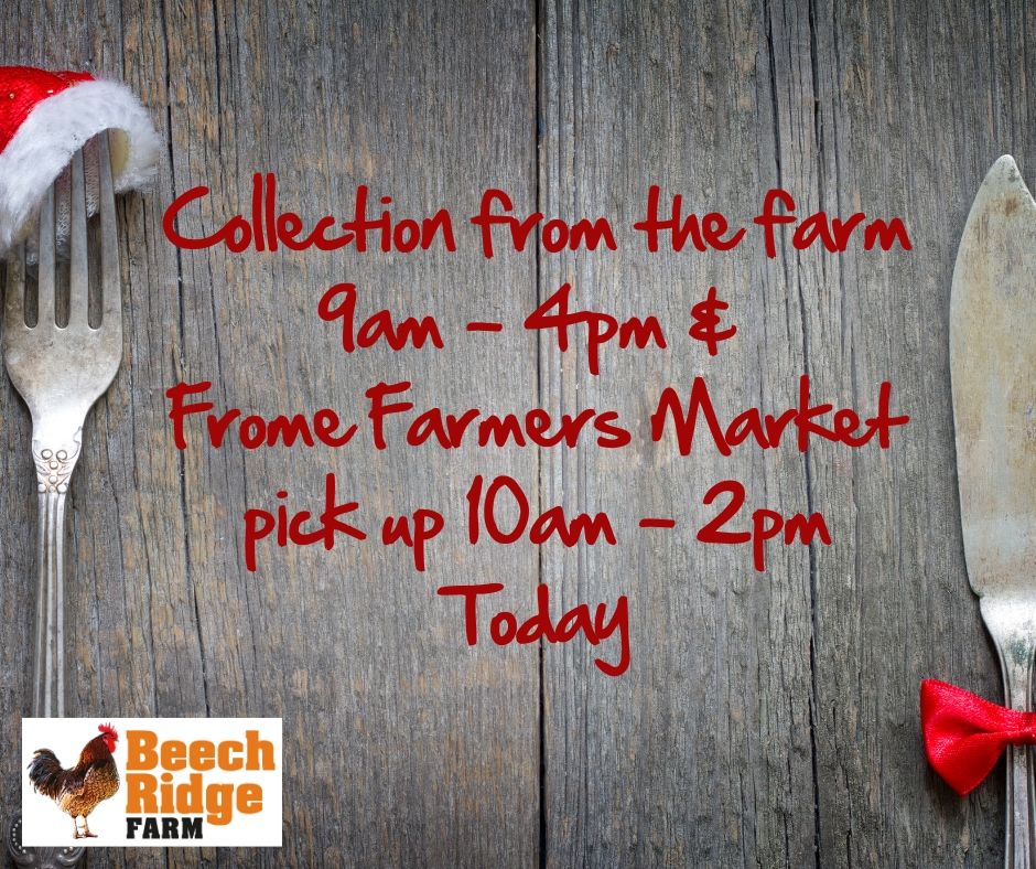 Collections from our Farm today between 9am - 4pm (and tomorrow) and if you are collecting from Frome Farmers Market we'll see you there between 10am - 2pm

#ChristmasDinner #ChristmasTurkey #BeechridgeFarm