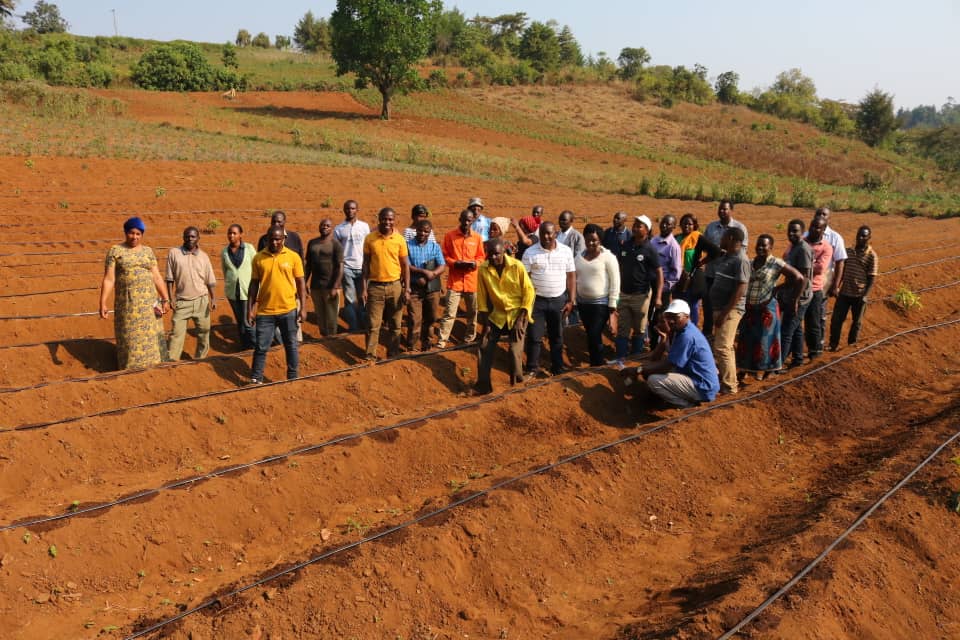 Kwa mahitaji ya wataalamu na ushauri bora kabisa wa kilimo.@greenagrictz ndiyo jibu lako,unakaribishwa 
-Kupata ushauri bora wa kilimo
-Kupata vifaa mbalimbali vya kilimo
-Kupata ushauri wa ufugaji wa samaki
-Kupata miche bora ya matunda 
-piga no 0763347985
#shambadili