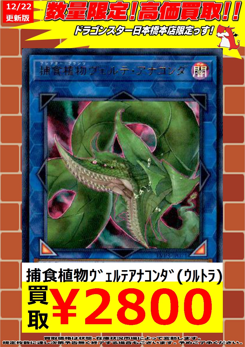 アナコンダ 遊戯王 遊戯王 アナコンダ