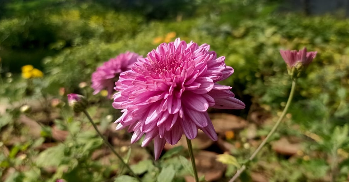 M__Madhusmita's tweet photo. https://t.co/wda4XcMaQg