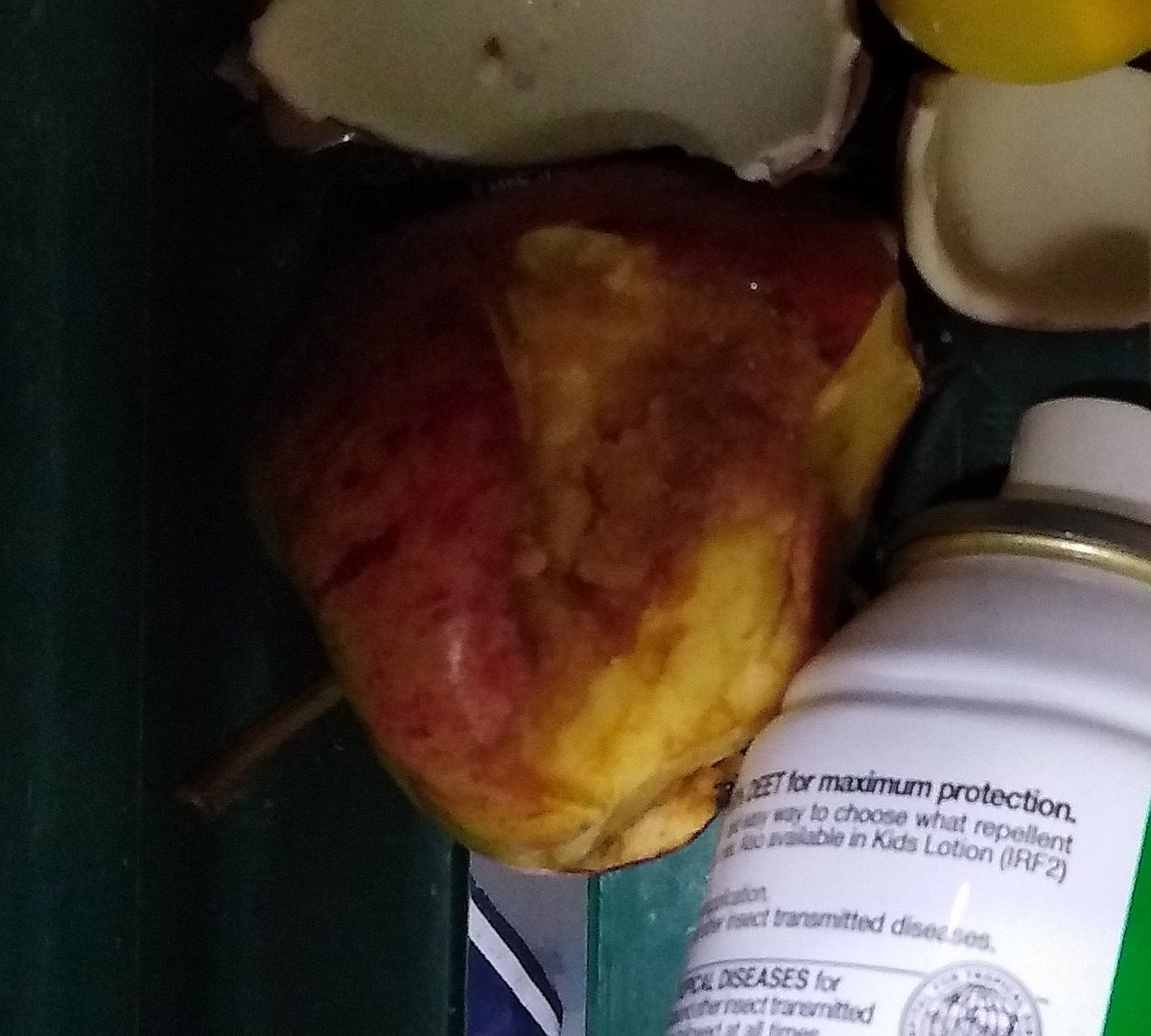 Stevaan H tweet media