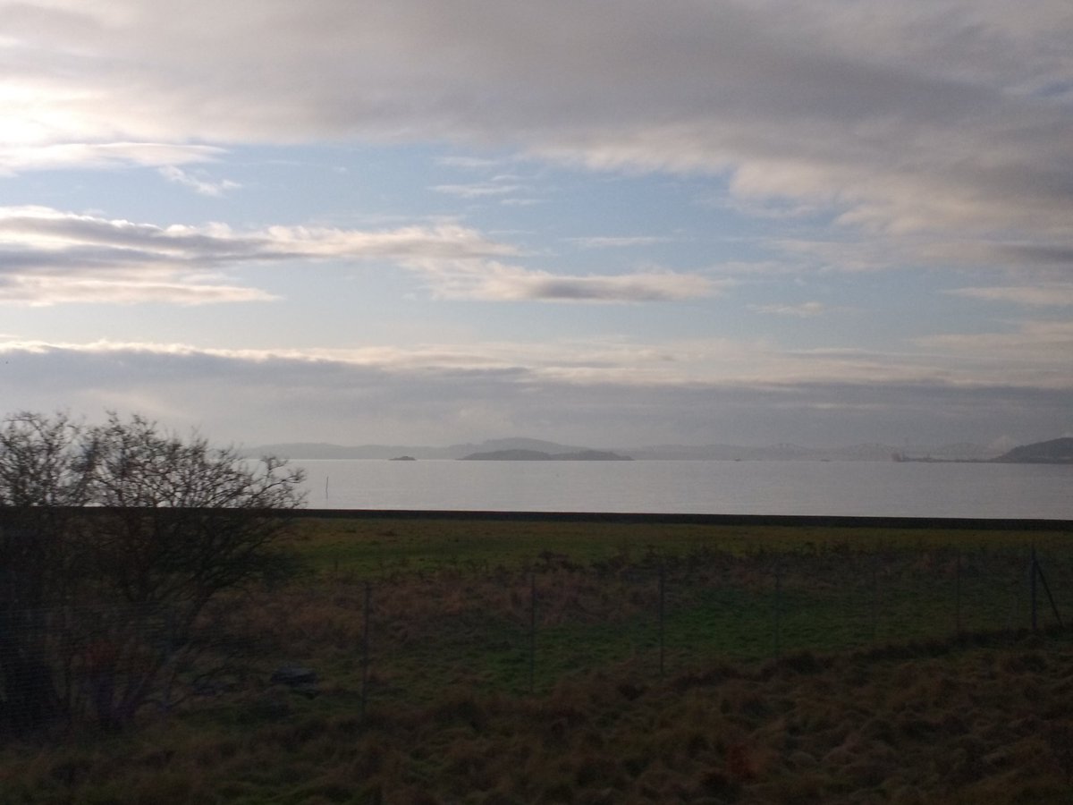 oneeyedlizzie's tweet photo. Burntisland & the best picture I could get of the Christmas Tree on the crane this year @ron_aird #MissedItAgain https://t.co/awOf88WKsA