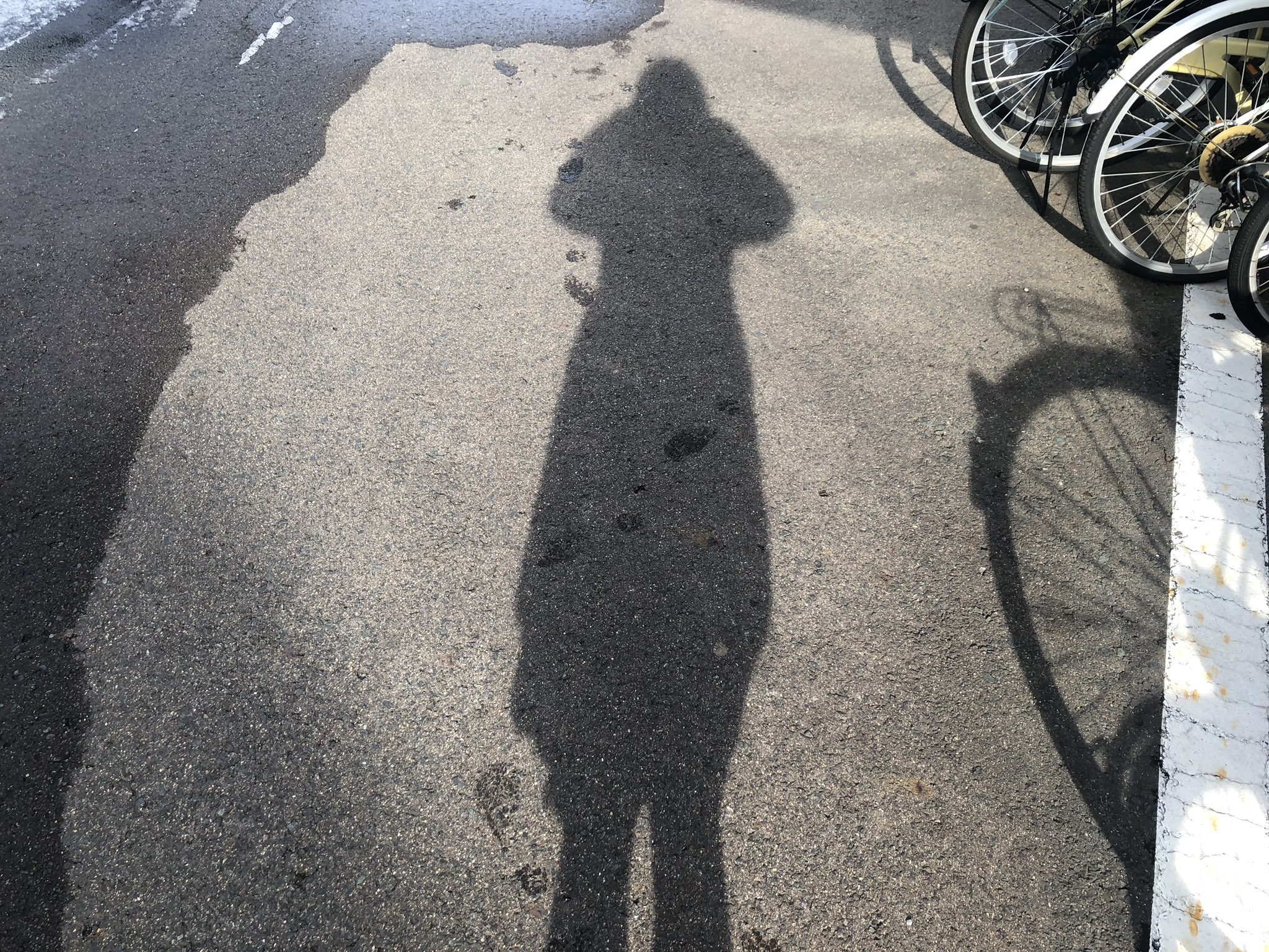 تويتر 津田紗矢佳 على تويتر 影で遊ぶ 正午でも夏至と冬至で 影の長さがずいぶん違う 左 夏至の頃 当日の秋田は 右 冬至 冬は太陽の位置が ずいぶん低くなりますね T Co 41wtqjlway