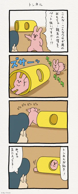 4コマ漫画スキウサギ「トンネル」  スキウサギの絵文字発売中→  