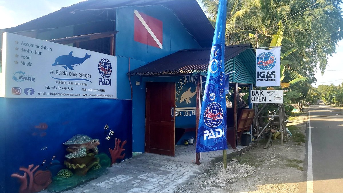 AlegriaDive's tweet photo. Maybe it's a 🇬🇧 thing going on inside reception !
#moalboal #alegriadive #divealegria #kawasanfalls #cebu #oslobcebu #oslob #alegria #alegriacebu #badian #badiancebu #moalboalcebu #itsmorefuninthephilippines #padi #backpackers #travel #hostel https://t.co/SgwiG9v0BT