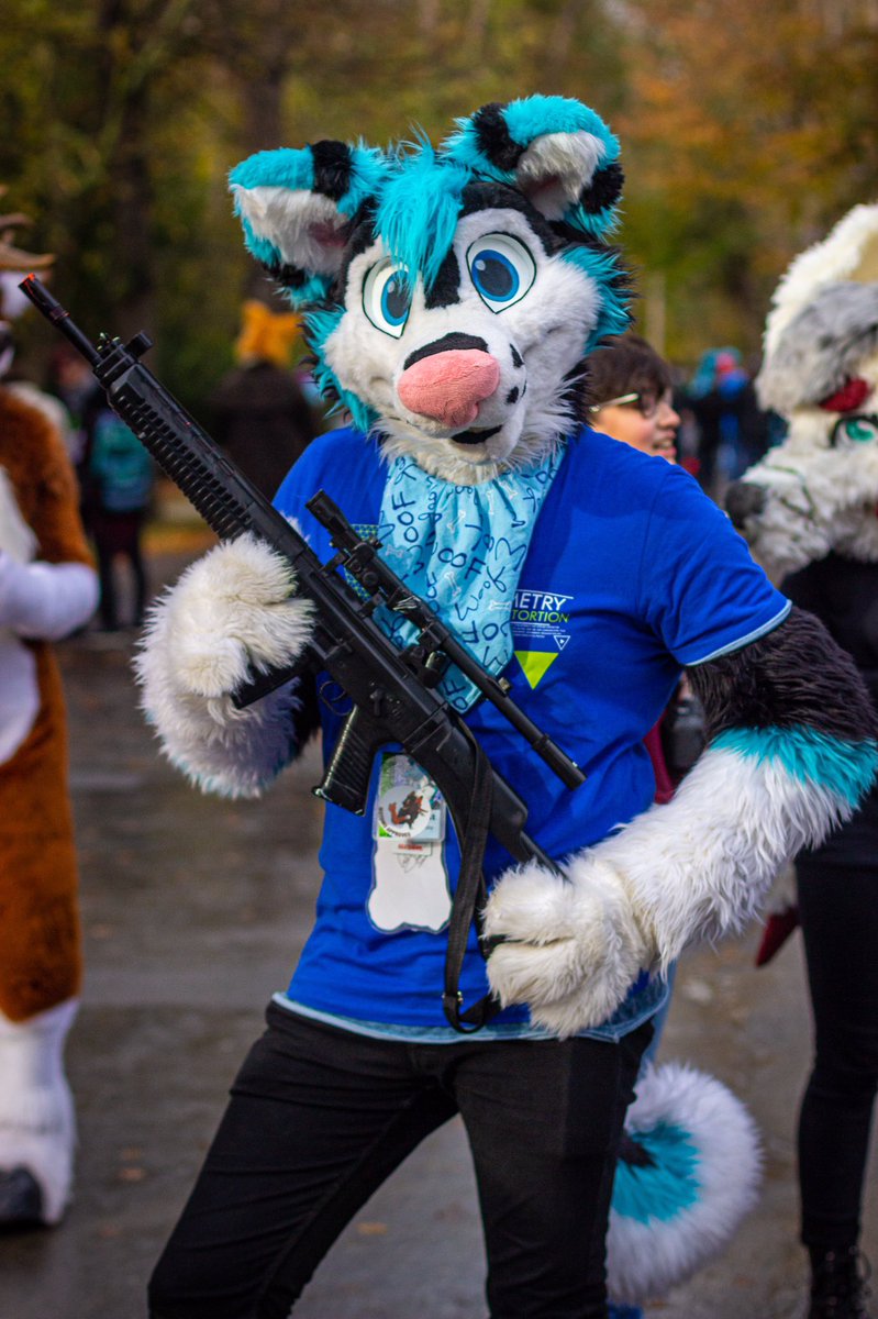 TempestTraxx's tweet photo. Am I allowed to join #furrytaskforce now? @JohnnyHappyColt 
📸@Georgie_woofy https://t.co/sv9uIGfKxc