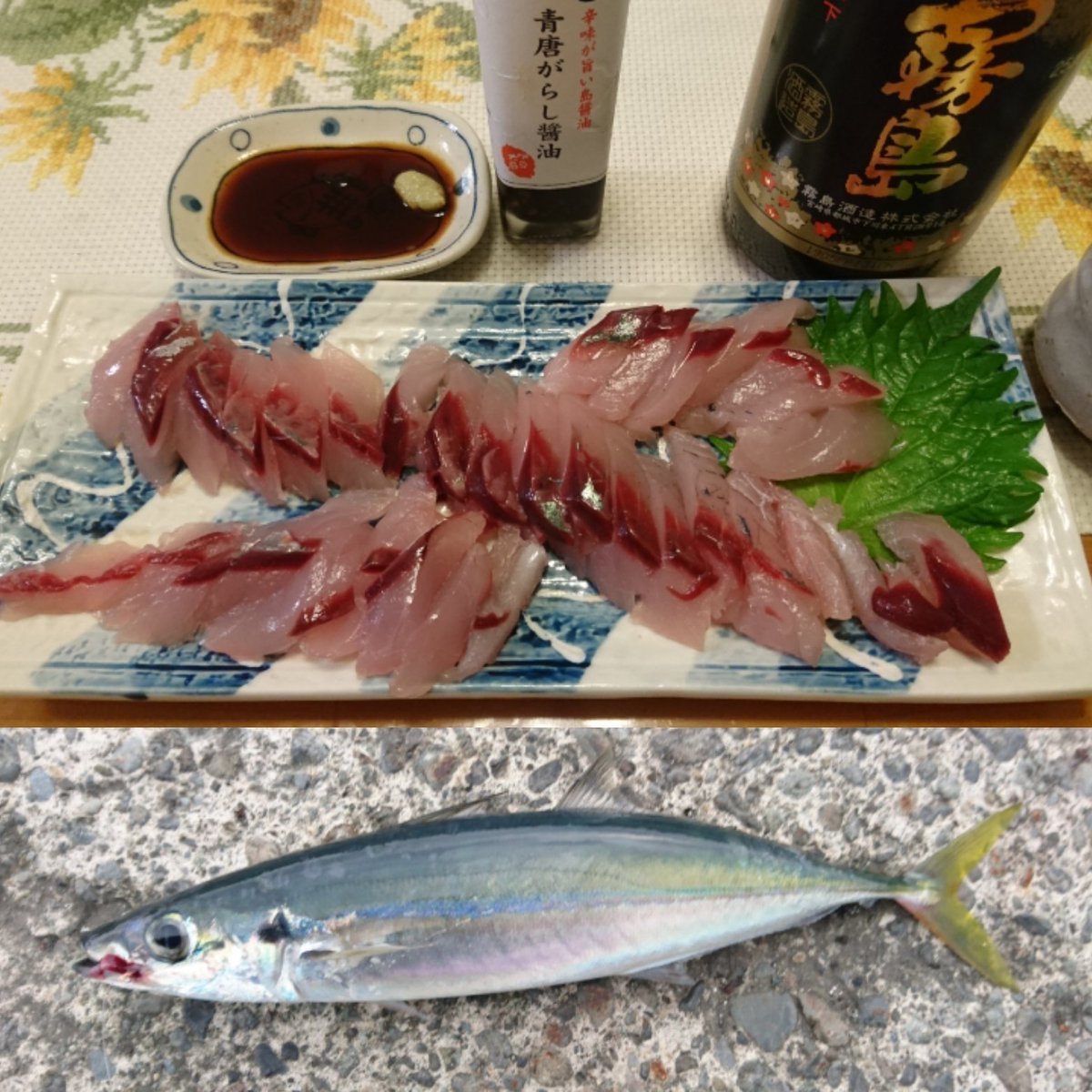 ট ইট র Y Katsu Fishing 両軸遠投カゴ釣り 伊豆大島で釣ったムロアジを刺身にして食ってみました 評判通りの美味しいお刺身でした T Co Pd90r4q0pv