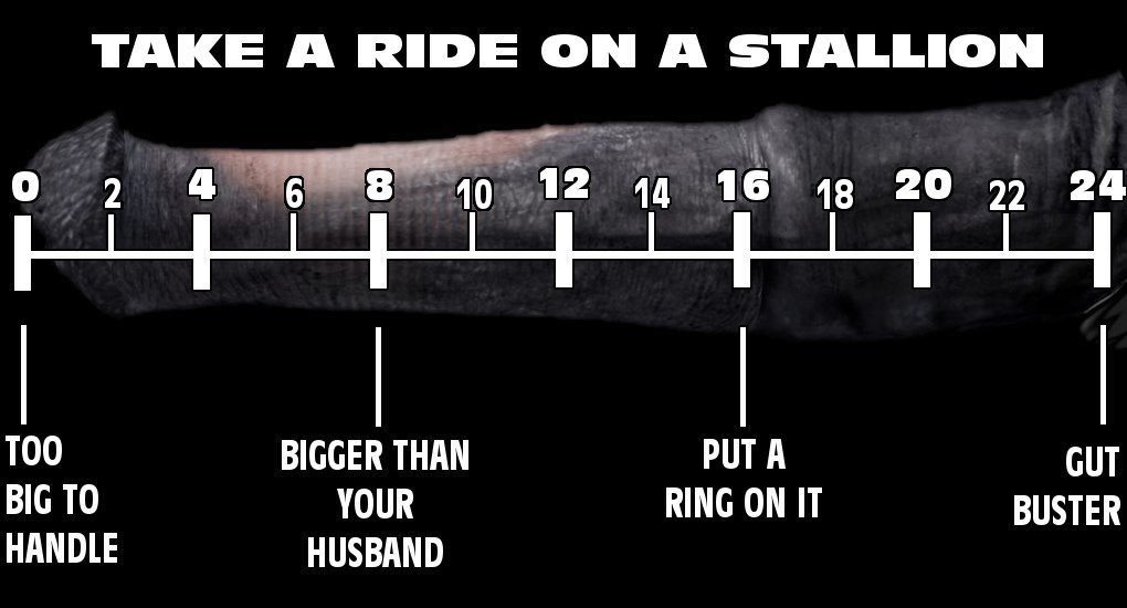 ||Lets have some fun, shall we?~