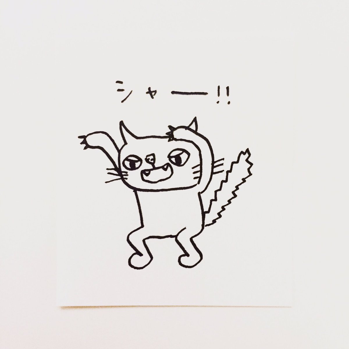 肌子 今日のイラストはコレ ｪ 爪を出して威嚇する猫 イラスト 猫 ネコ ねこ オリジナル ペン画 アナログ画 絵 猫の絵 白猫