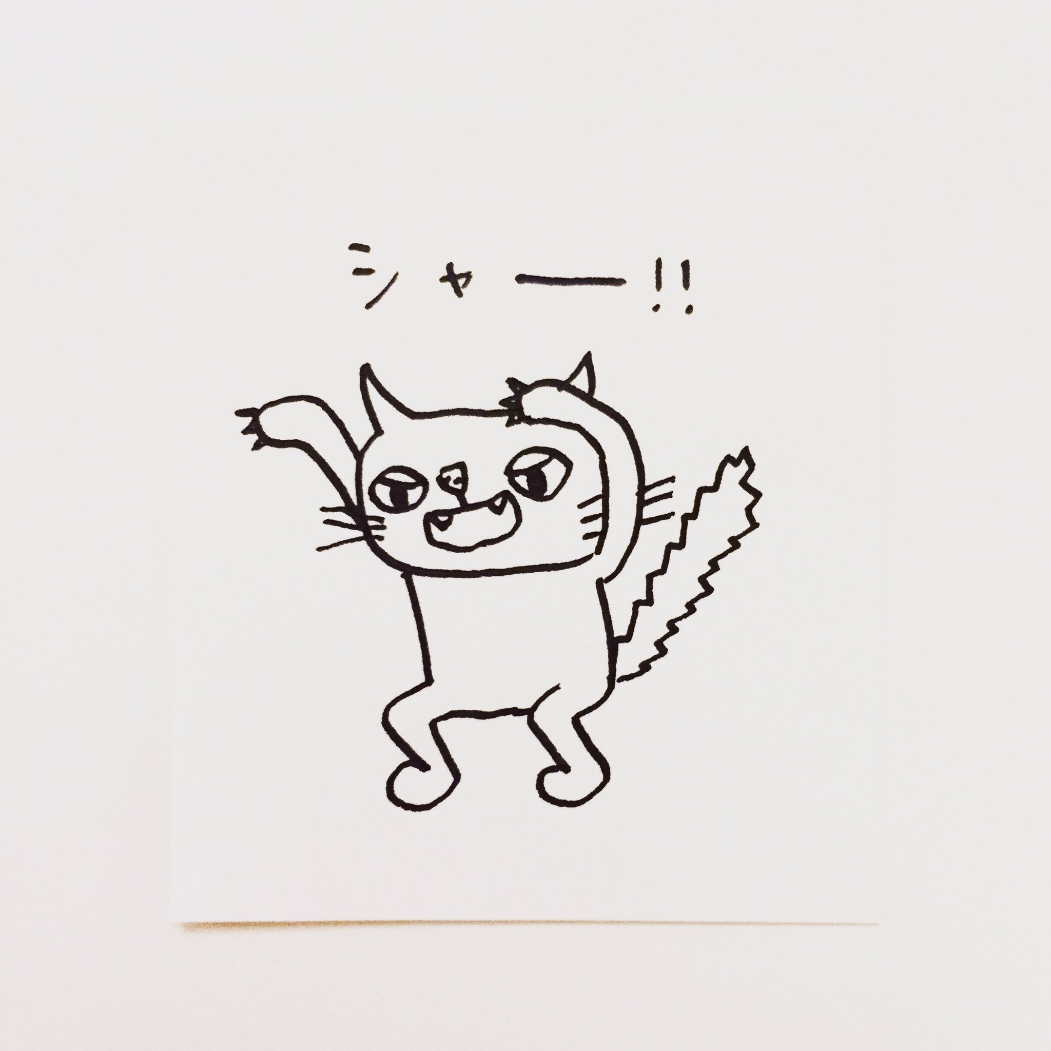 肌子 今日のイラストはコレ ｪ 爪を出して威嚇する猫 イラスト 猫 ネコ ねこ オリジナル ペン画 アナログ画 絵 猫の絵 白猫 T Co S2mcpmvlpv Twitter
