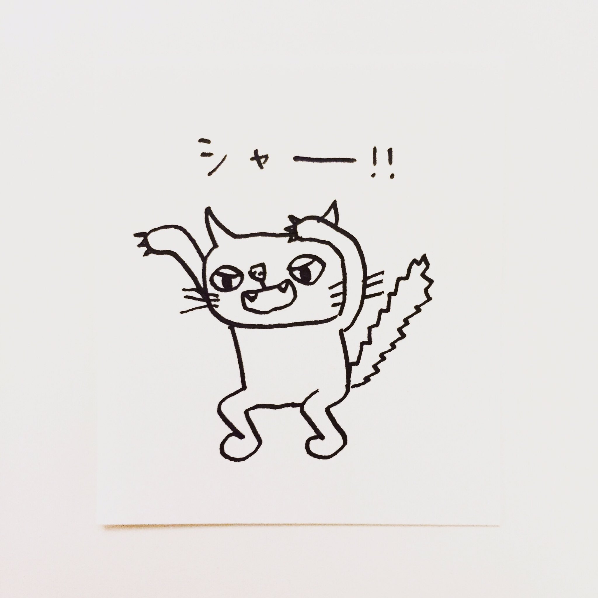 Twitter 上的 肌子 今日のイラストはコレ ｪ 爪を出して威嚇する猫 イラスト 猫 ネコ ねこ オリジナル ペン画 アナログ画 絵 猫の絵 白猫 T Co S2mcpmvlpv Twitter