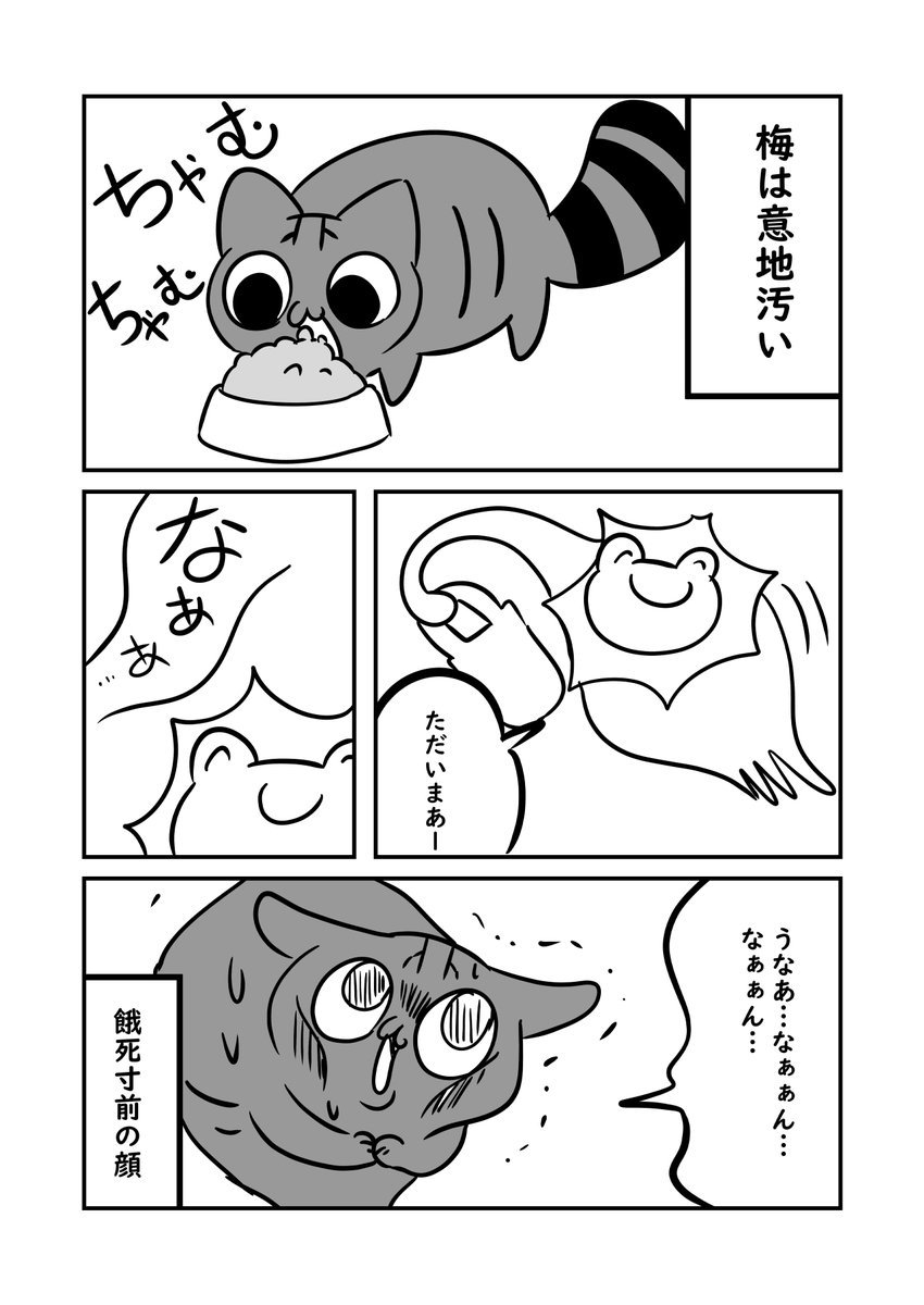 猫漫画 実家猫の梅は欲張り #ぬら次郎日記 